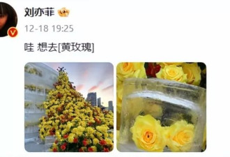 刘亦菲与妈现身哈尔滨!65岁刘晓莉保养得宜气质好