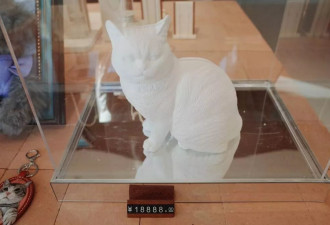 高价宠物殡葬收费万元,"高情绪价值"还是诱导消费?