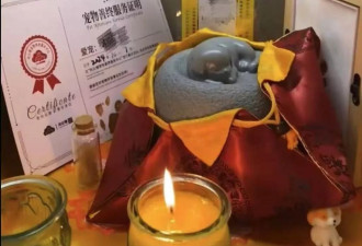 高价宠物殡葬收费万元,"高情绪价值"还是诱导消费?