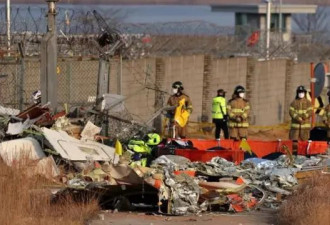 航空专家指鸟击本身通常难以导致飞机失事