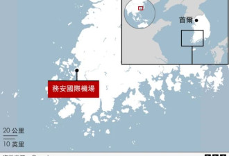 航空专家指鸟击本身通常难以导致飞机失事
