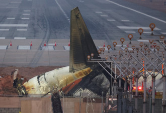 事故班机48小时内执飞13趟！济州航空再惹热议