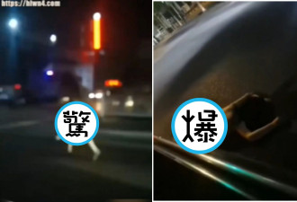 夜半开车惊见“贞子” 中国老司机吓坏