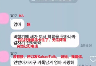 韩国空难：“鸟击”外，还可能有哪些致命原因？