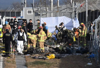 韩国空难：“鸟击”外，还可能有哪些致命原因？