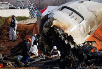 血汗冠军？济州航空客机失事前飞行时长被曝
