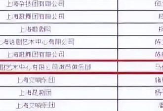 正式官宣！和文章离婚5年后，48岁马伊琍有好消息，终于等到这天