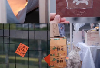 欧阳娜娜最新艺术展被全网集火骂！85块一张门票就看个草稿墙？
