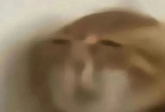 比葛夕更爱性缩力老人的85花，都帅成大女主了还想要冷脸洗内裤…