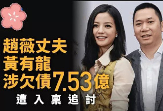 赵薇清空黄有龙相关动态 男方被曝已再婚