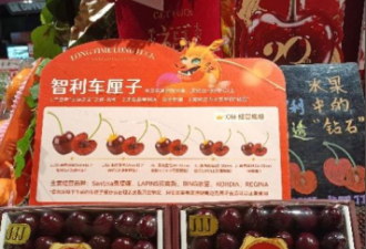 “明星”价格大跳水，刷屏了