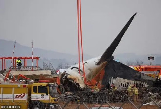 专家称韩国坠机本可181人全获救，机场犯致命错误