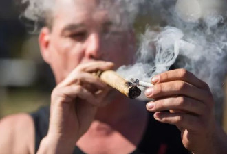 效法阿姆斯特丹，加州大麻咖啡馆2025年合法化
