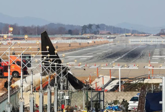 五问韩国客机事故 多专家质疑：最后4分钟发生了啥？