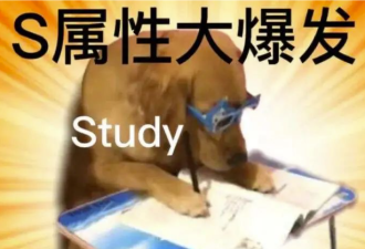 我的留学生活怎么充满了不幸啊