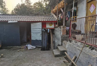 杀熊救妻木匠讲述过程:两人两狗协力将黑熊击杀