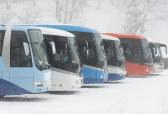 不输北海道的滑雪胜地 长野冬日玩法全攻略