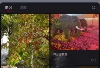 在父母的手机里，我发现了他们的另一重人格