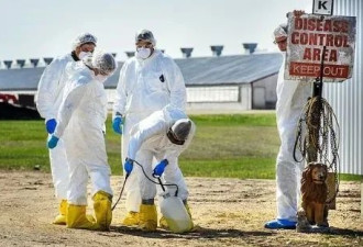 2025最新疫情警示！加拿大爆罕见病毒重症，病毒变异直攻呼吸道
