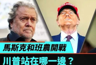 班农痛批马斯克：新来的坐到后排去 先学着点