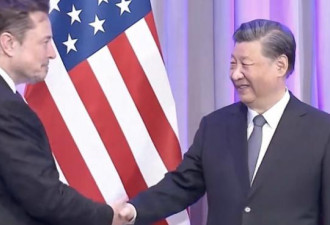 习近平让马斯克“这样”干了吗？