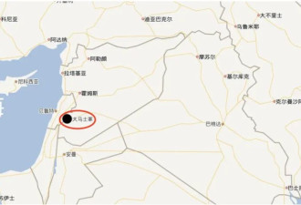 大马士革：谁的拳头大，就是谁的？