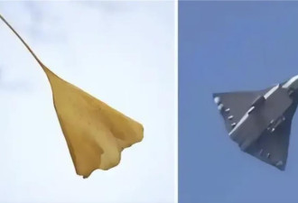 解放军秀肌肉亮武器 新型隐形战机曝光？