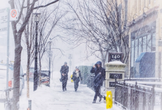 新年首场大雪！多伦多周边最高60cm！401、QEW/403车祸