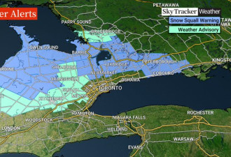 新年首场大雪！多伦多周边最高60cm！401、QEW/403车祸