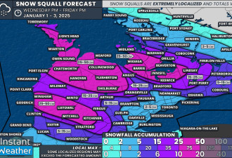 新年首场大雪！多伦多周边最高60cm！401、QEW/403车祸