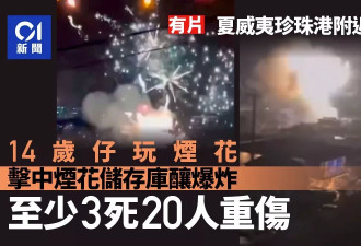 美国夏威夷新年烟花爆炸 酿至少4死20人重伤