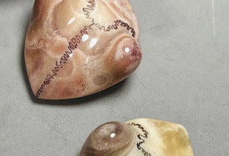 手段极其残忍，被人称为“最血腥的文玩”