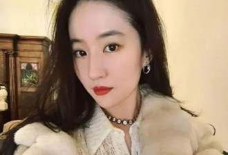 从刘亦菲到张婧仪，保暖的尽头是......