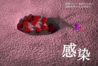 “炎症”无处不在 但我们知之甚少