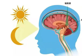 孩子睡着了 大人在旁边玩手机有影响吗？
