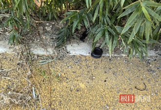 实探致2死滑翔伞事故现场：耳机等残骸散落...