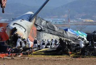 专家对韩空难新质疑:飞机可能有更险恶东西致坠机
