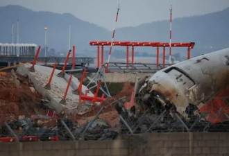 专家对韩空难新质疑:飞机可能有更险恶东西致坠机