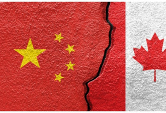 中国批评加拿大在人权问题上“双重标准”：为讨好美国而制裁中国