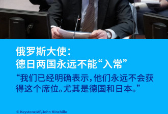 俄罗斯大使联合国发言：德日两国永远不能“入常”