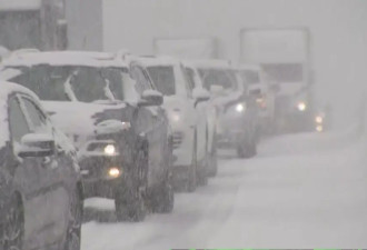 安省南部连续遭超强暴风雪袭击：都是五大湖变暖闹的