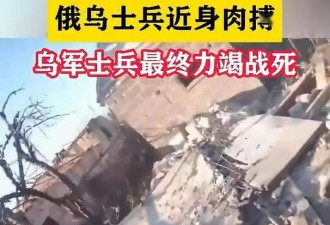 俄兵耳朵被咬掉 乌兵被击倒后请求 让安静死去