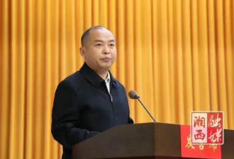 十八洞村书记升省委委员