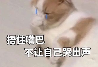 因为一个坏习惯，多少人“失去了下巴”
