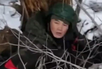 悲哀且荒唐 在朝军尸体上发现...