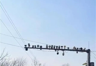 山西一地道路立杆上摄像头密集 当地:不会过度抓拍