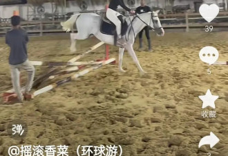 花22元在埃及学滑雪,中国年轻人涌向埃及"薅羊毛"
