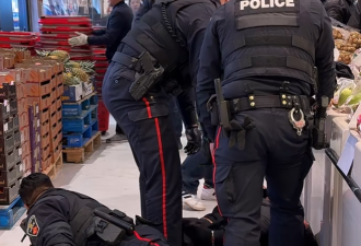 GTA华人超市5辆警车大阵仗抓捕！网友炸锅：为了$15刀的寿司