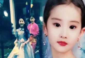 美国邻居出书 曝光刘亦菲及母亲在美二婚生活