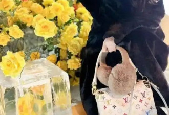 37岁刘亦菲带火“东北装”！黑貂大衣搭超短裤，不土气却时尚大气
